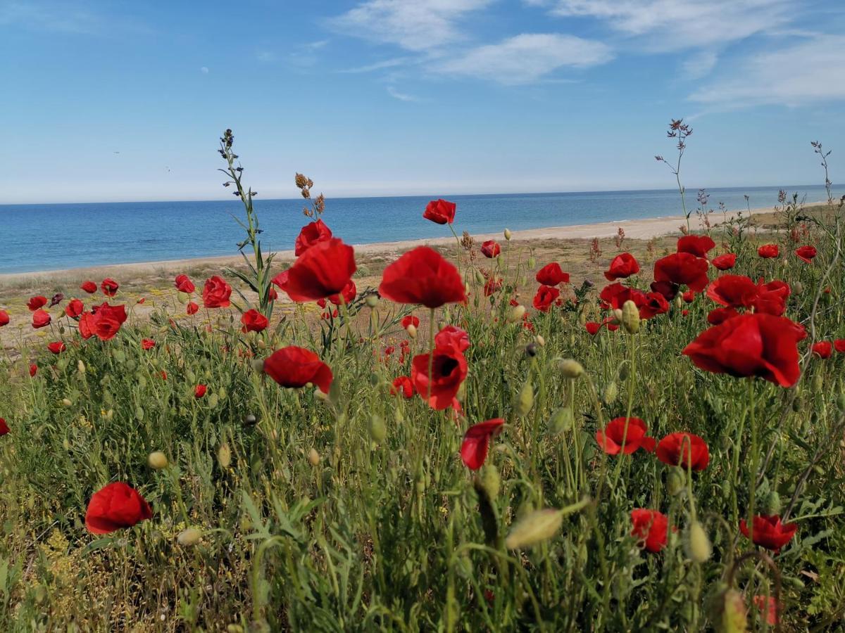 House Albena Hotel Durankulak Luaran gambar