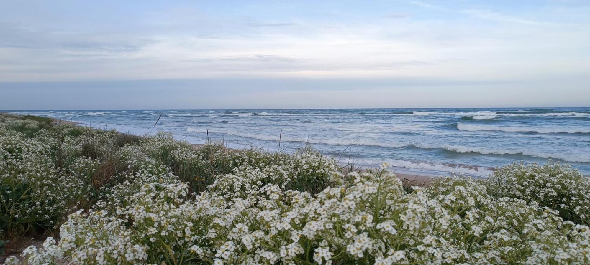 House Albena Hotel Durankulak Luaran gambar